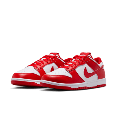 NIKE DUNK LOW RETRO MEN'S SHOES