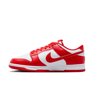 NIKE DUNK LOW RETRO MEN'S SHOES