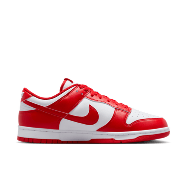 NIKE DUNK LOW RETRO MEN'S SHOES