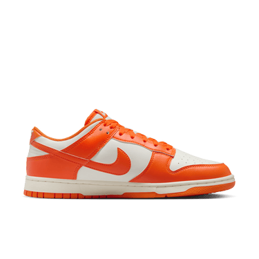 NIKE DUNK LOW RETRO MEN'S SHOES