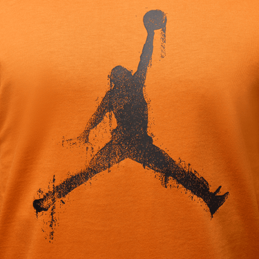 JORDAN BROOKLYN MEN'S T-SHIRT