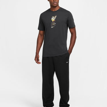 LIVERPOOL F.C. MEN'S NIKE FOOTBALL T-SHIRT